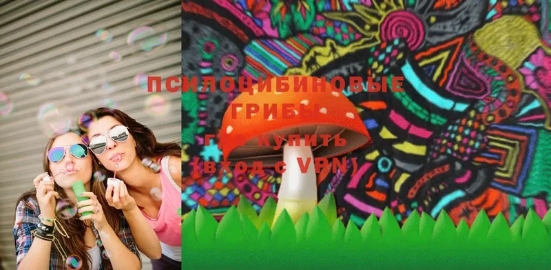 Галлюциногенные грибы Magic Shrooms  Камышлов 